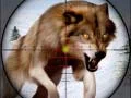 Joc Vânătoare de animale sălbatice on-line Joc Vânătoare de animale sălbatice on-line