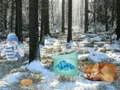 Joc Aventura în pădurea Țării Minunilor de Iarnă on-line Joc Aventura în pădurea Țării Minunilor de Iarnă on-line