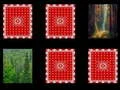 Joc Memoria Pădurii on-line