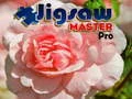 Joc Maestru de Puzzle Pro on-line Joc Maestru de Puzzle Pro on-line