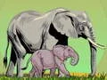 Joc Animale sălbatice și puii lor on-line