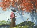 Joc Reflecția Samuraiului on-line