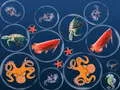 Joc Fuzionarea Peștilor Oceanici on-line Joc Fuzionarea Peștilor Oceanici on-line
