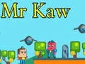 Joc Dl. Kaw on-line Joc Dl. Kaw on-line