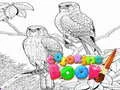 Joc Caiet de colorat pentru adulți on-line
