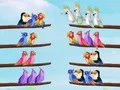 Joc Puzzle de Sortare a Păsărilor on-line Joc Puzzle de Sortare a Păsărilor on-line