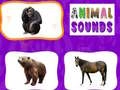 Joc Sunetele Animalelor on-line