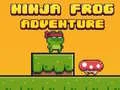 Joc Broasca Ninja Corretoare on-line