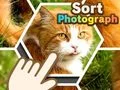 Joc Sortare fotografii on-line
