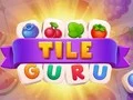 Joc Guru-ul Plăcilor on-line
