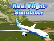 Joc Simulator de Zbor Real on-line