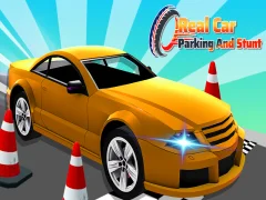 Joc Parcare auto reală și cascadă on-line