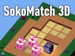 Joc Sokomatch 3d on-line