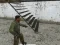 Joc Combat Greu on-line