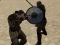 Joc Simulator de gladiatori on-line