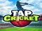 Joc Tap Cricket on-line