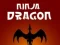 Joc Ninja Dragon on-line