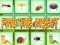 Joc Găsește Insecta on-line