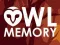 Joc Memoria Bufniței on-line