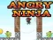 Joc Ninja Furios on-line