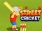Joc Cricket de Stradă on-line
