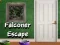 Joc Evadarea falconierului on-line