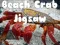 Joc Puzzle cu Crab de Plajă on-line