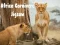 Joc Puzzle Carnivor Africa on-line