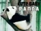 Joc Panda mic și drăguț on-line
