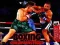 Joc Lupta Campionilor la Box on-line