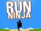 Joc Fugi Ninja on-line