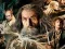 Joc Colecția de Puzzlere Hobbit on-line
