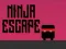Joc Evacuare Ninja on-line