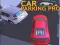 Joc Parcare Pro on-line