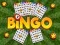 Joc Bingo Revelat on-line