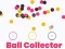 Joc Colector de Bile Circulare on-line