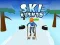 Joc Ski Rush 3D on-line