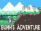Joc Aventura lui Bunn on-line