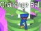 Joc Minge Provocare on-line