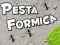 Joc Sărbătoarea Furnicilor on-line