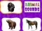 Joc Sunetele Animalelor on-line
