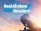 Joc Simulator de Avion Real on-line