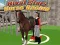 Joc Stelele Rivale ale Curselor Equestre on-line