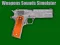Joc Simulator de Sunete de Arme on-line
