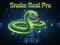 Joc Snake Real Pro on-line