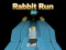 Joc Rabbit Run 3D on-line
