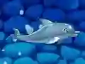Joc Spectacolul meu cu delfini 5 on-line