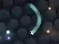 Joc Slither.io on-line