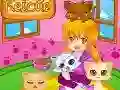 Joc Salvarea pisoiului Cutie on-line Joc Salvarea pisoiului Cutie on-line