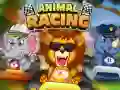 Joc Curse de Animale on-line Joc Curse de Animale on-line